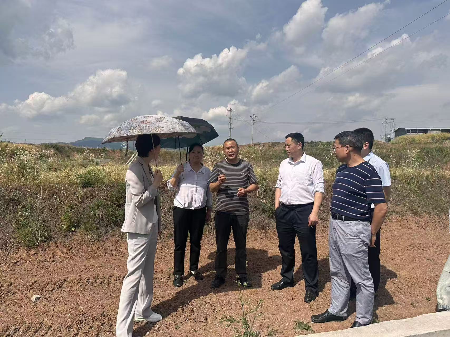 廣安市供銷社來巴調(diào)研農(nóng)業(yè)社會化服務(wù)工作